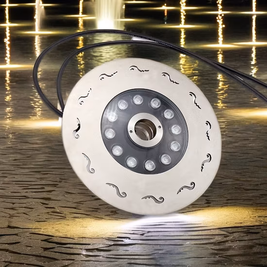 Outdoor 316ss 3W 9W Low Voltage IP68 Waterproof Submersible RGB RGBW DMX LED Fish Pool Pond Fountain Underwater Spot Lights